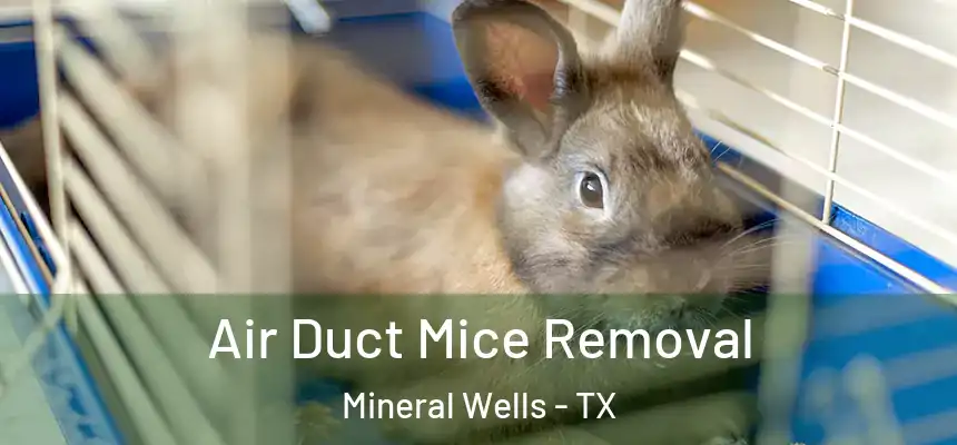  Air Duct Mice Removal Mineral Wells - TX