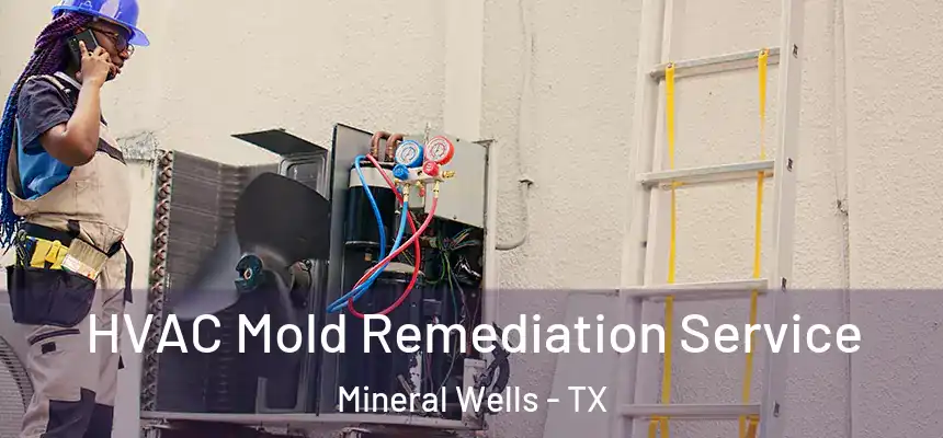  HVAC Mold Remediation Service Mineral Wells - TX