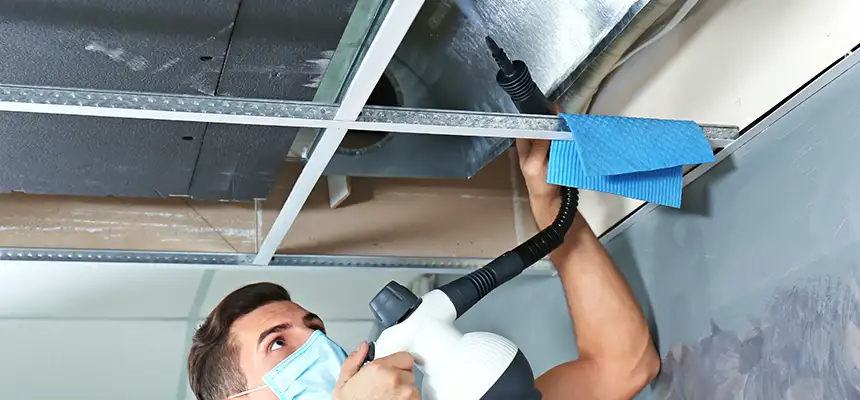 Our Air Duct Rodent Removal Services in Mineral Wells, TX