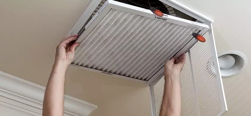 Our Insect Removal from Air Ducts Services in Mineral Wells, TX