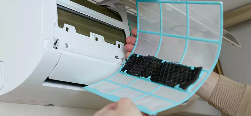 Gentle Ductwork Odor-Control Pet Dander Duct Cleaning in Mineral Wells, TX