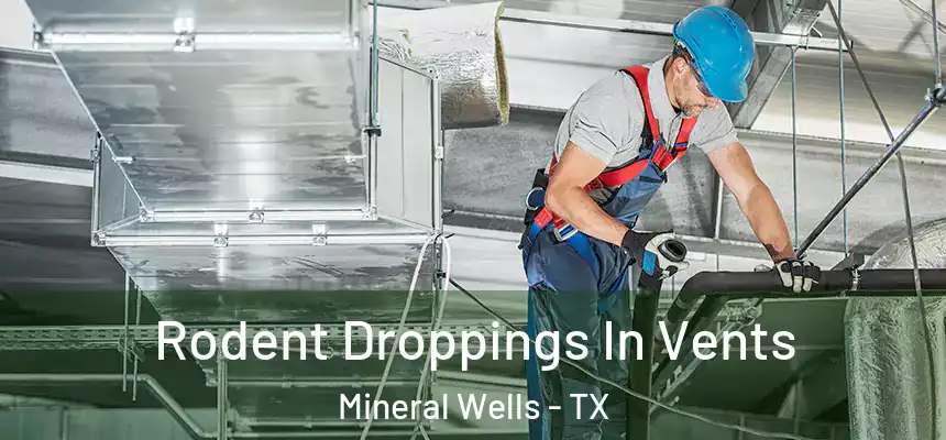  Rodent Droppings In Vents Mineral Wells - TX