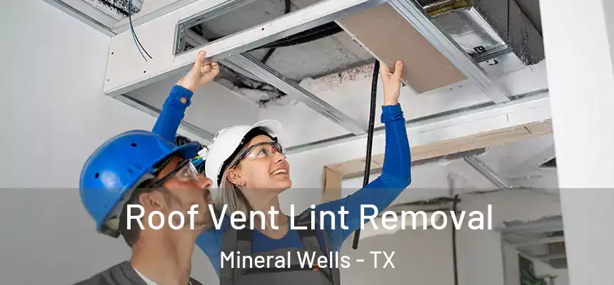  Roof Vent Lint Removal Mineral Wells - TX