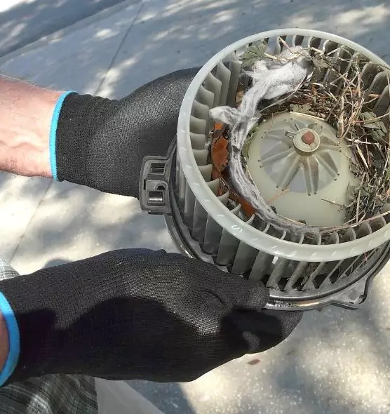 About Air Duct Rat Removal in Mineral Wells, TX