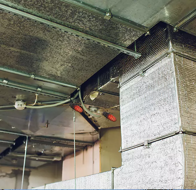 Why Homeowners & Businesses Trust Us in Mineral Wells, TX?