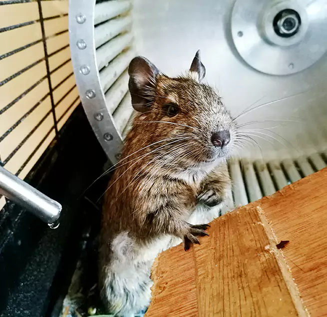 Why Homeowners & Businesses Trust Us Mineral Wells, TX?