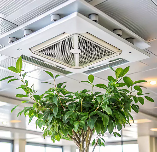 Why Homeowners & Businesses Trust Us in Mineral Wells, TX?